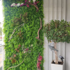 jardin vertical botánica de malaga