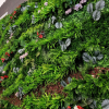 jardin vertical lujuria de plantas